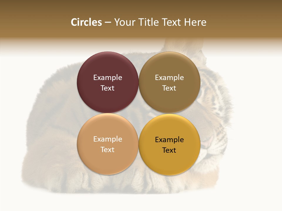 Stalk Tenderness Awaiting PowerPoint Template