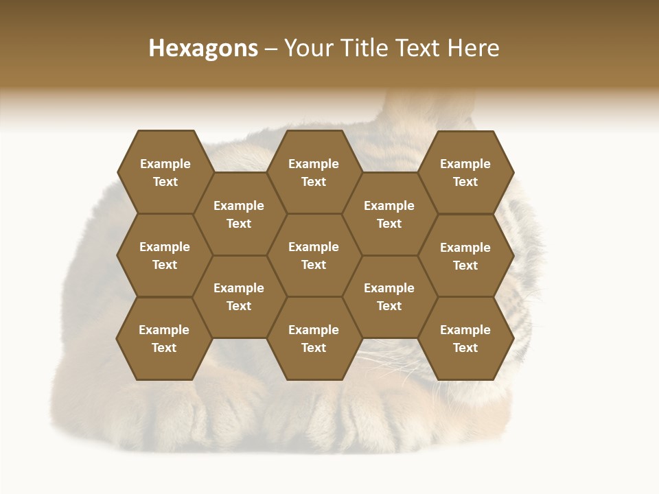 Stalk Tenderness Awaiting PowerPoint Template