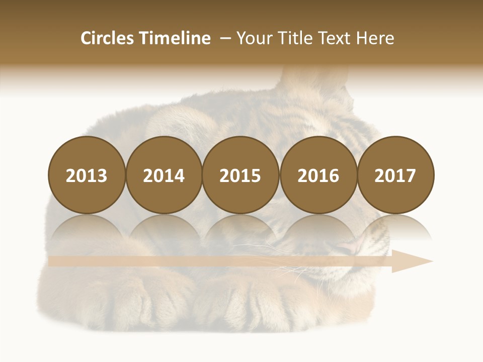 Stalk Tenderness Awaiting PowerPoint Template