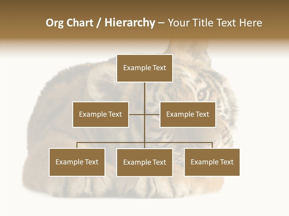 Stalk Tenderness Awaiting PowerPoint Template