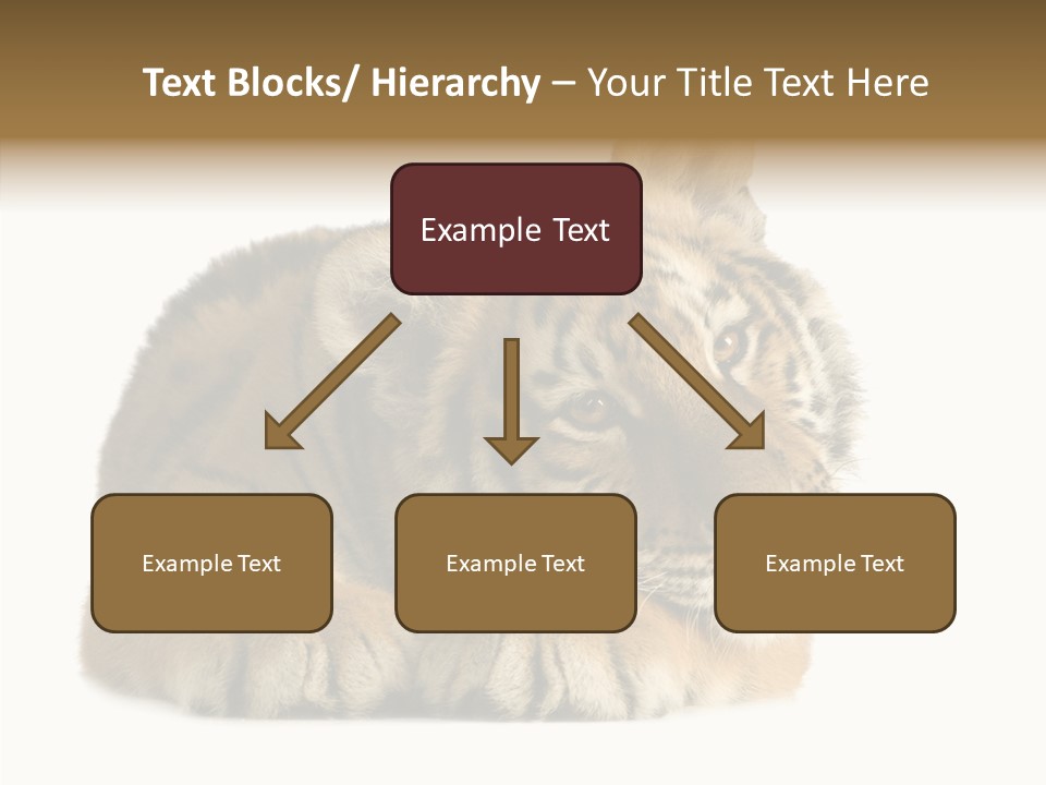 Stalk Tenderness Awaiting PowerPoint Template