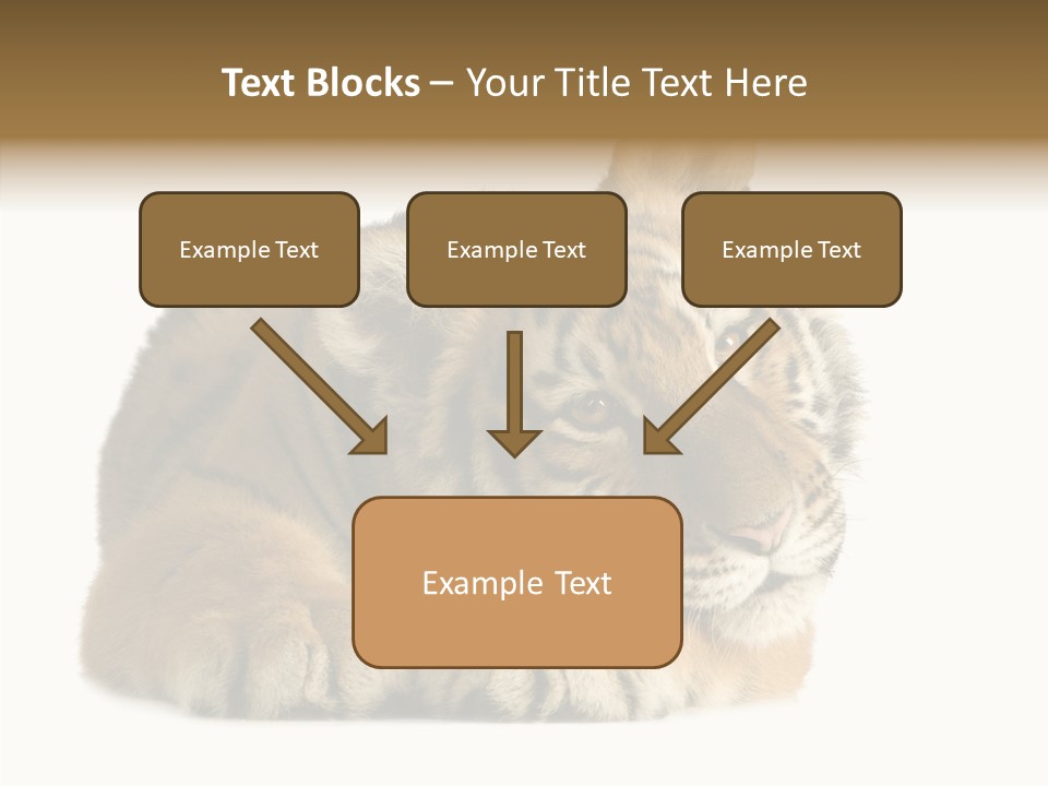 Stalk Tenderness Awaiting PowerPoint Template