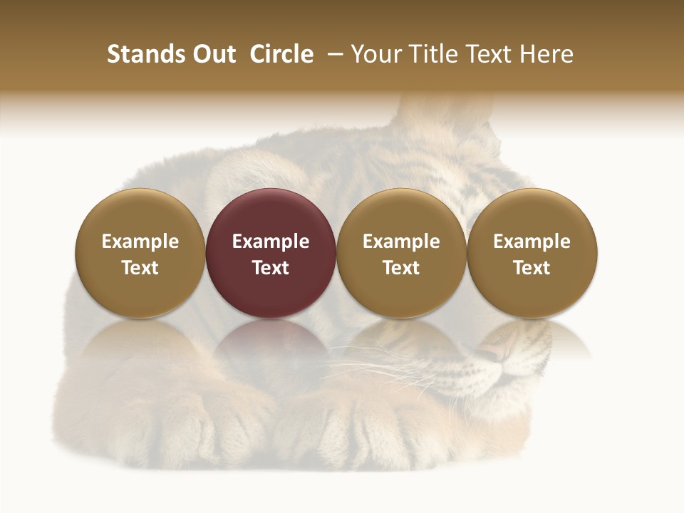 Stalk Tenderness Awaiting PowerPoint Template