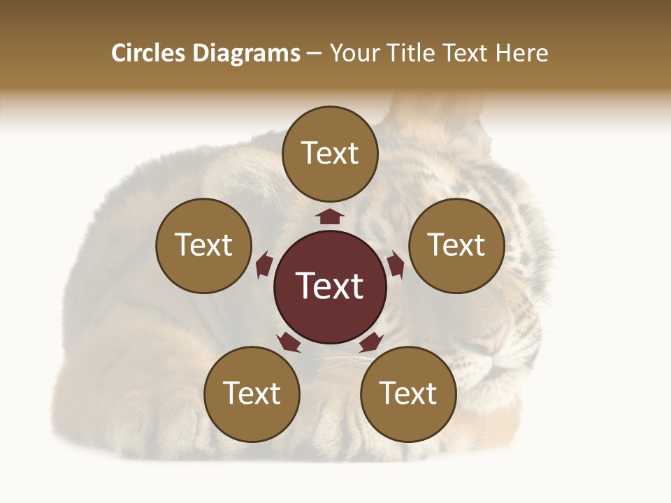 Stalk Tenderness Awaiting PowerPoint Template