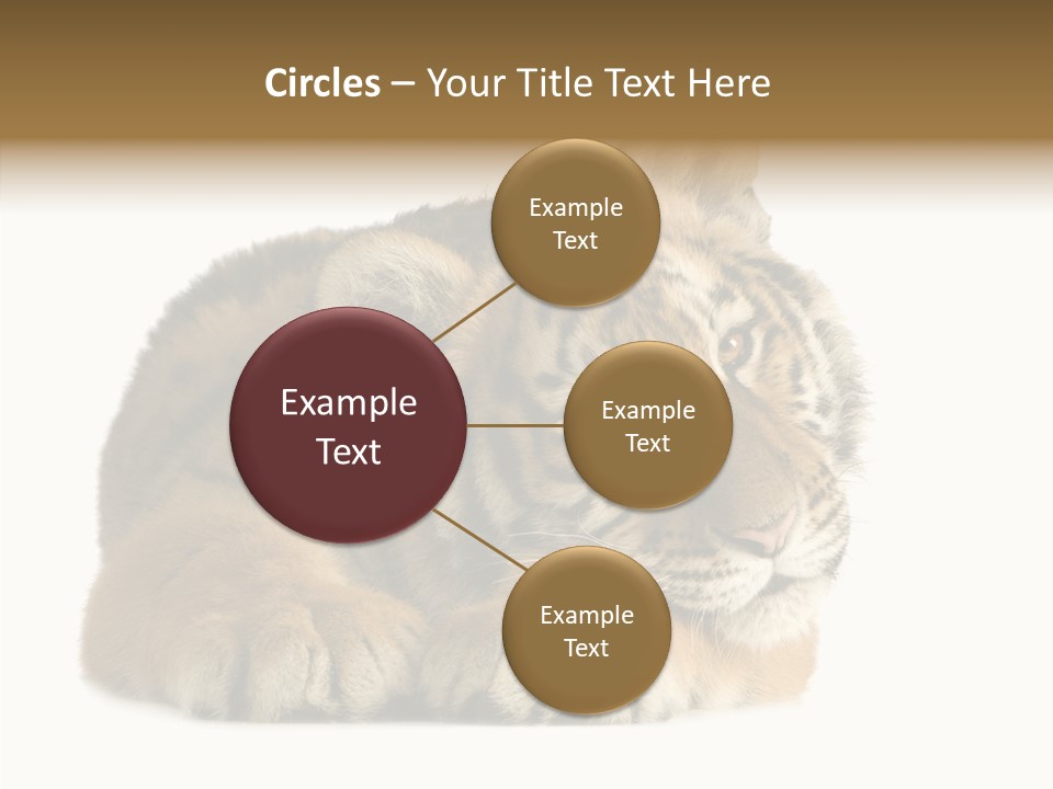 Stalk Tenderness Awaiting PowerPoint Template