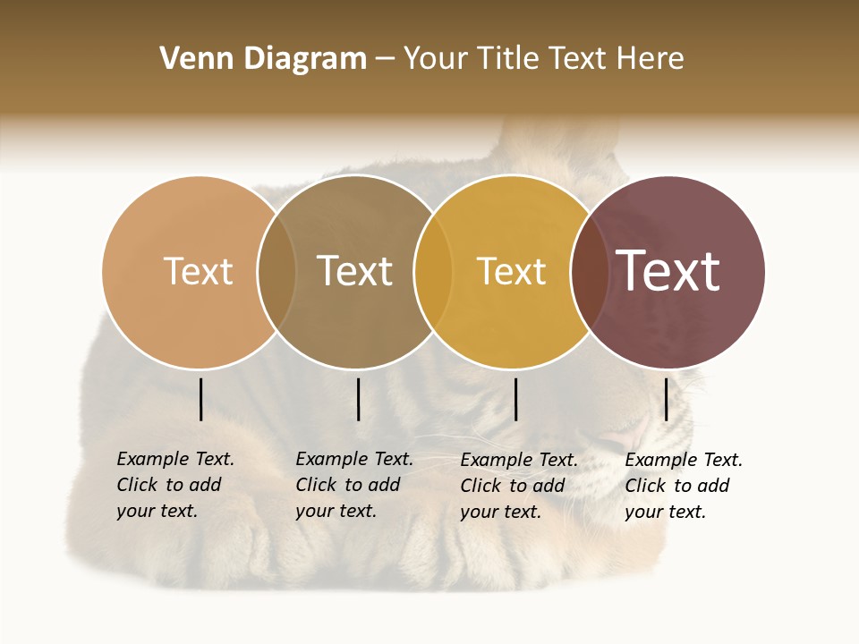 Stalk Tenderness Awaiting PowerPoint Template