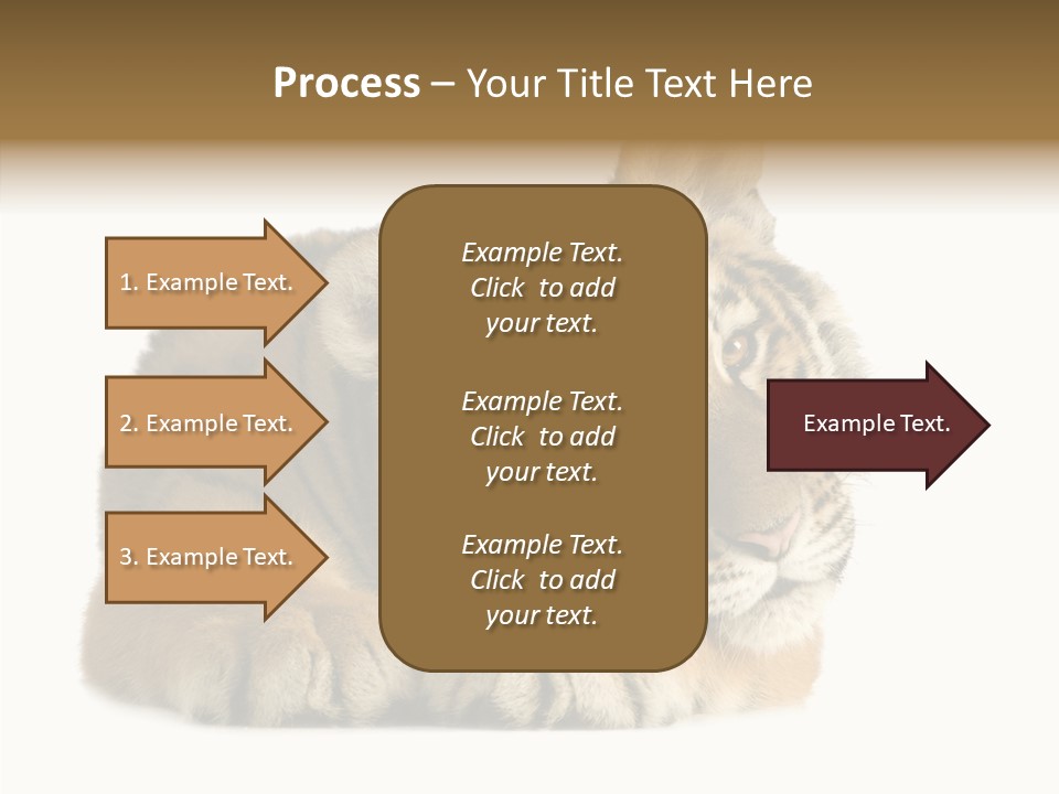 Stalk Tenderness Awaiting PowerPoint Template