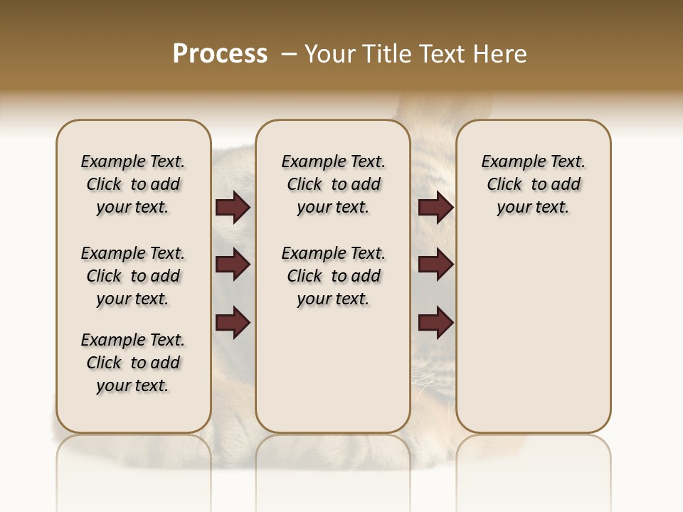 Stalk Tenderness Awaiting PowerPoint Template