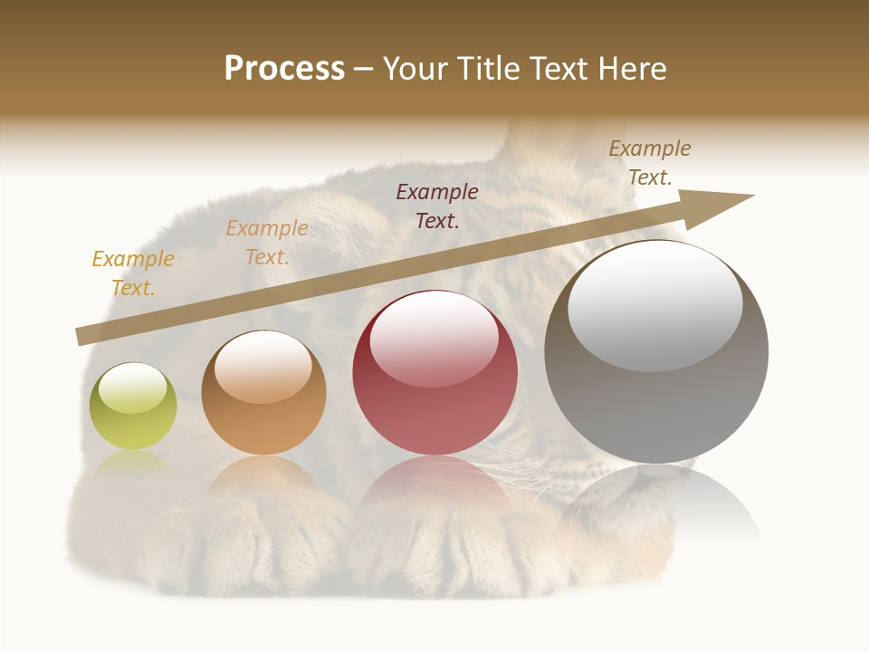 Stalk Tenderness Awaiting PowerPoint Template