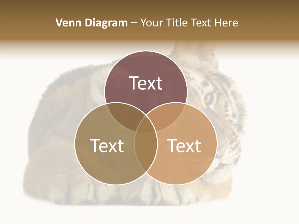 Stalk Tenderness Awaiting PowerPoint Template