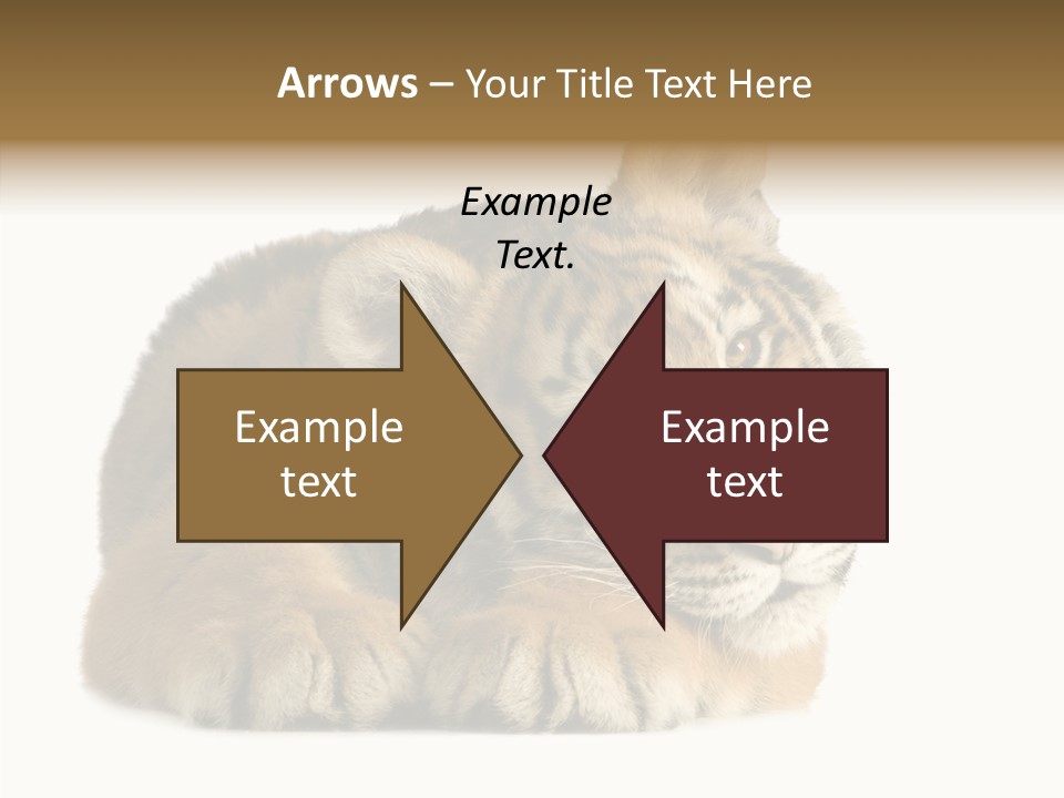 Stalk Tenderness Awaiting PowerPoint Template