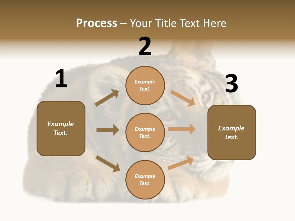 Stalk Tenderness Awaiting PowerPoint Template