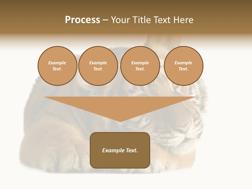 Stalk Tenderness Awaiting PowerPoint Template