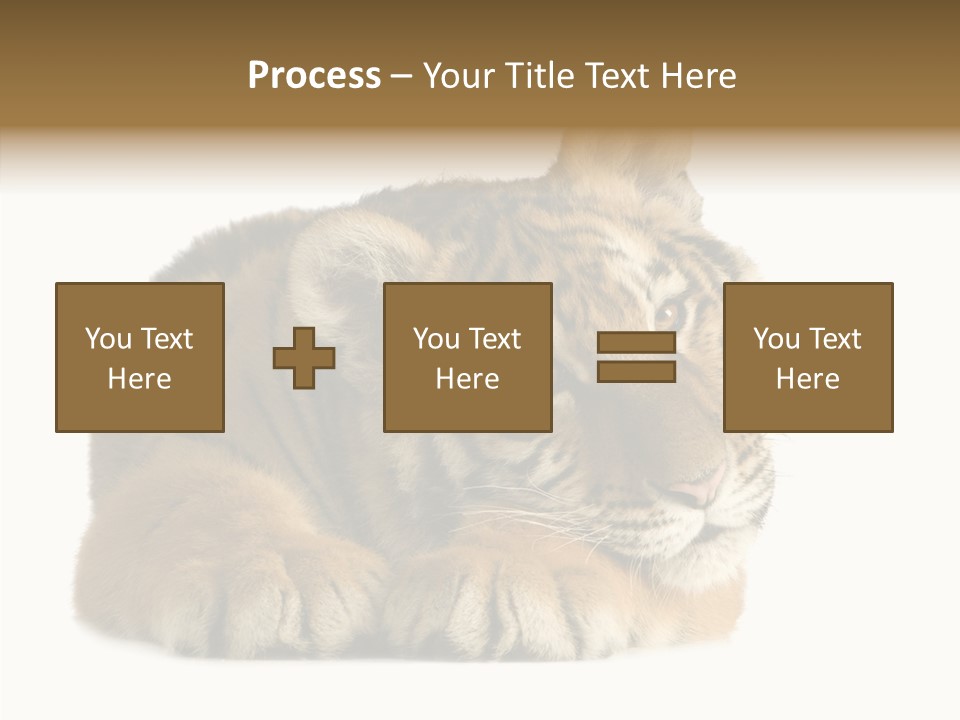 Stalk Tenderness Awaiting PowerPoint Template
