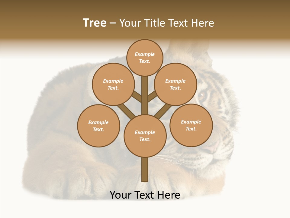 Stalk Tenderness Awaiting PowerPoint Template