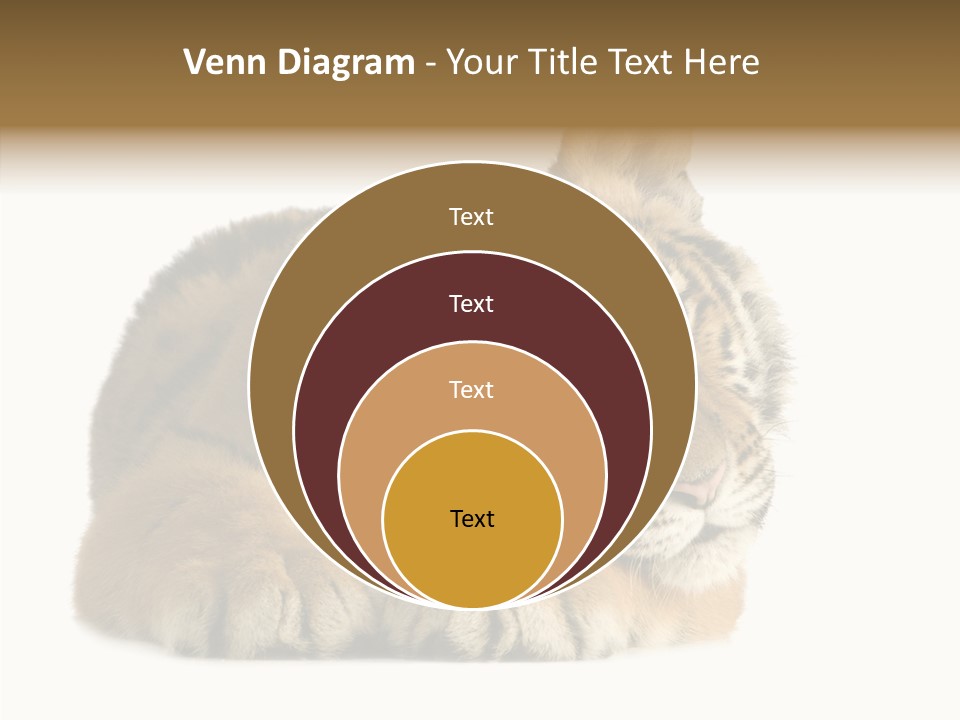 Stalk Tenderness Awaiting PowerPoint Template