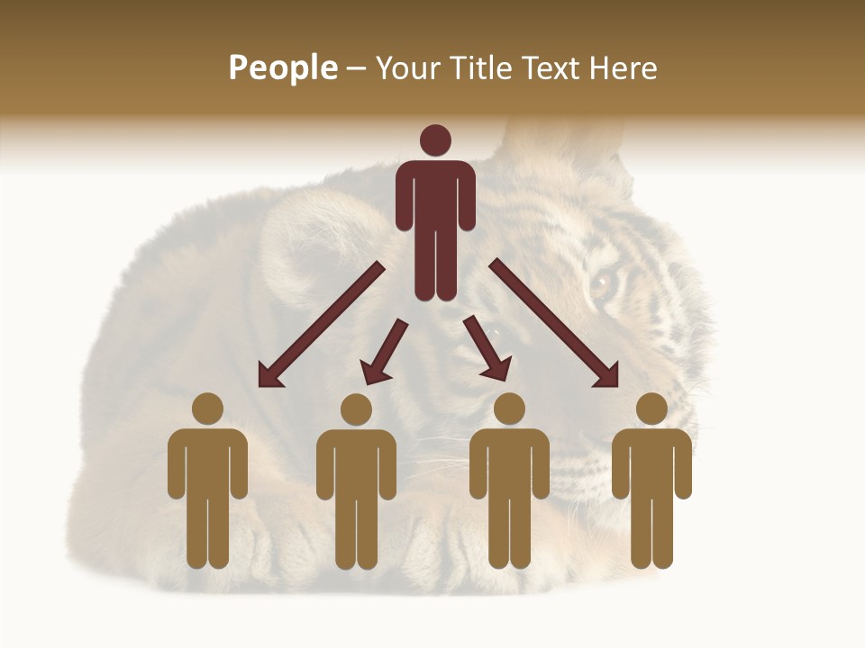 Stalk Tenderness Awaiting PowerPoint Template