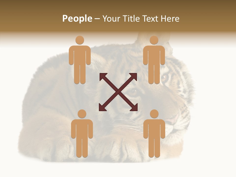 Stalk Tenderness Awaiting PowerPoint Template