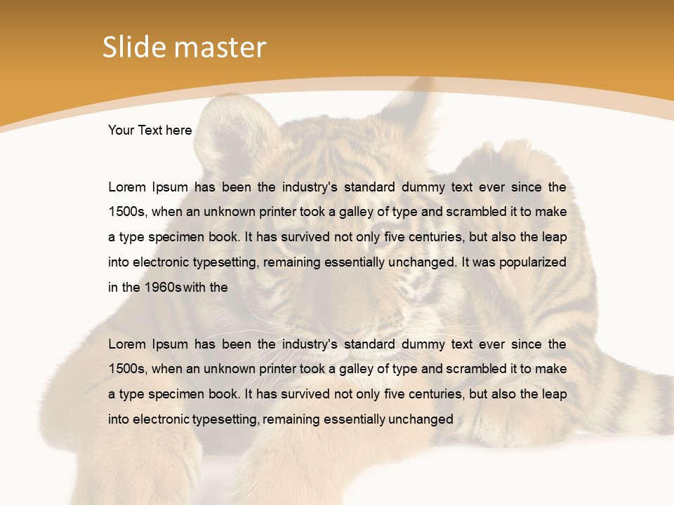 Sad Studio Asleep PowerPoint Template