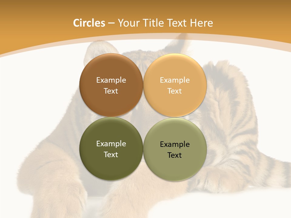 Sad Studio Asleep PowerPoint Template