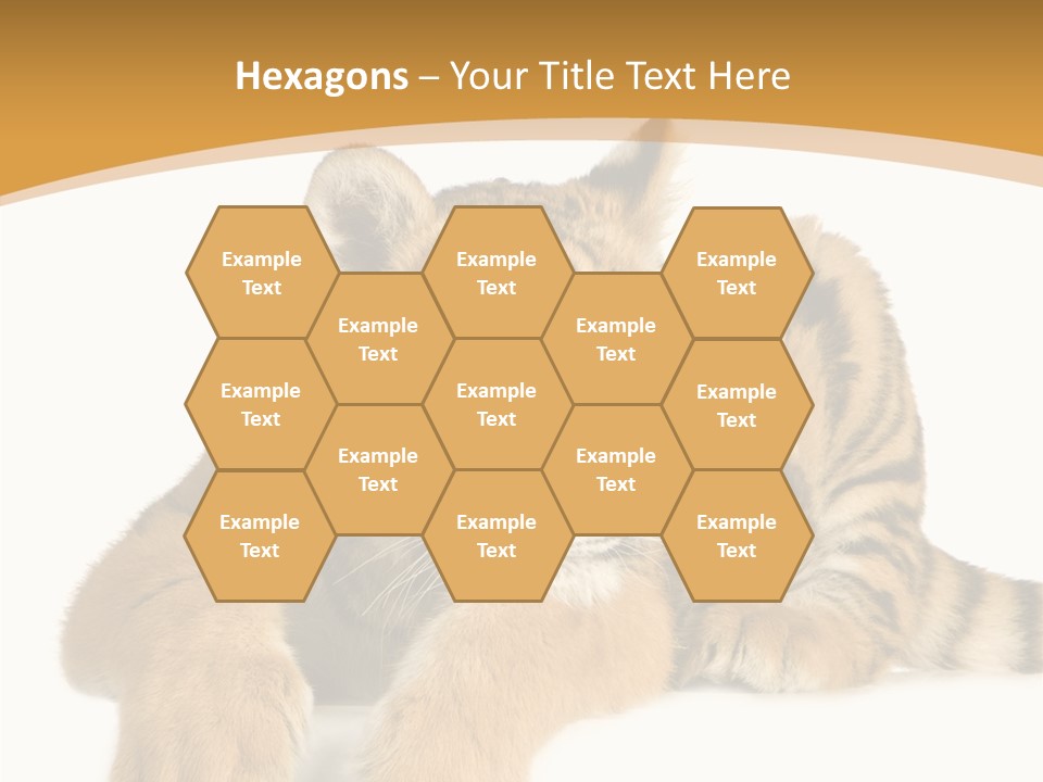 Sad Studio Asleep PowerPoint Template