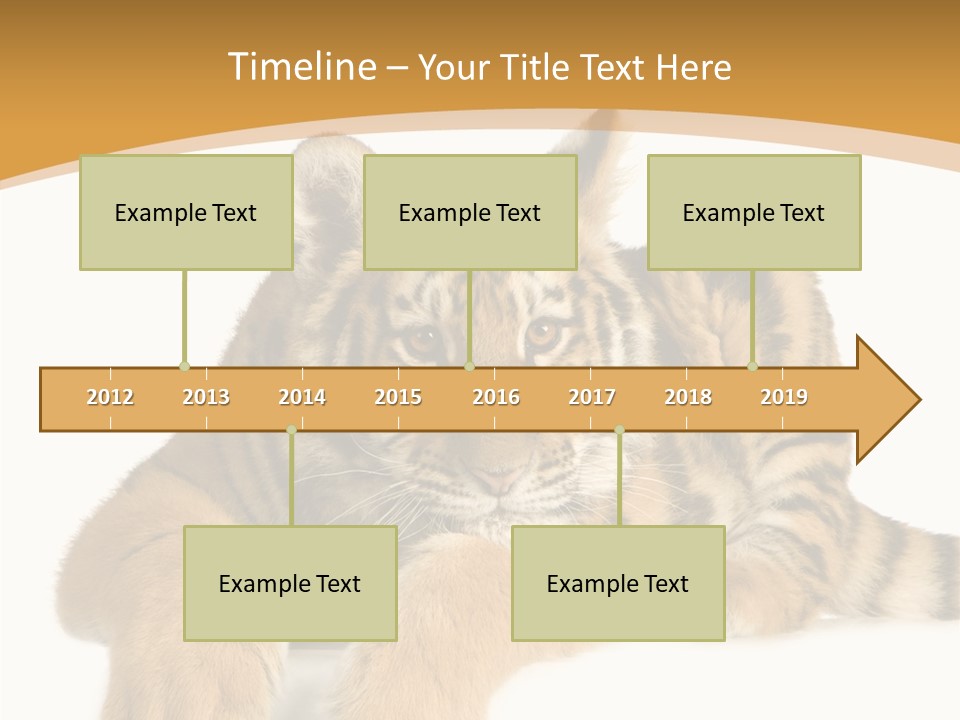 Sad Studio Asleep PowerPoint Template