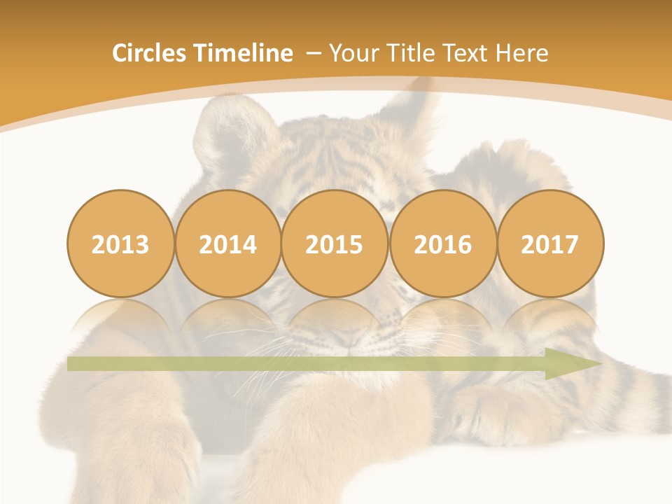 Sad Studio Asleep PowerPoint Template