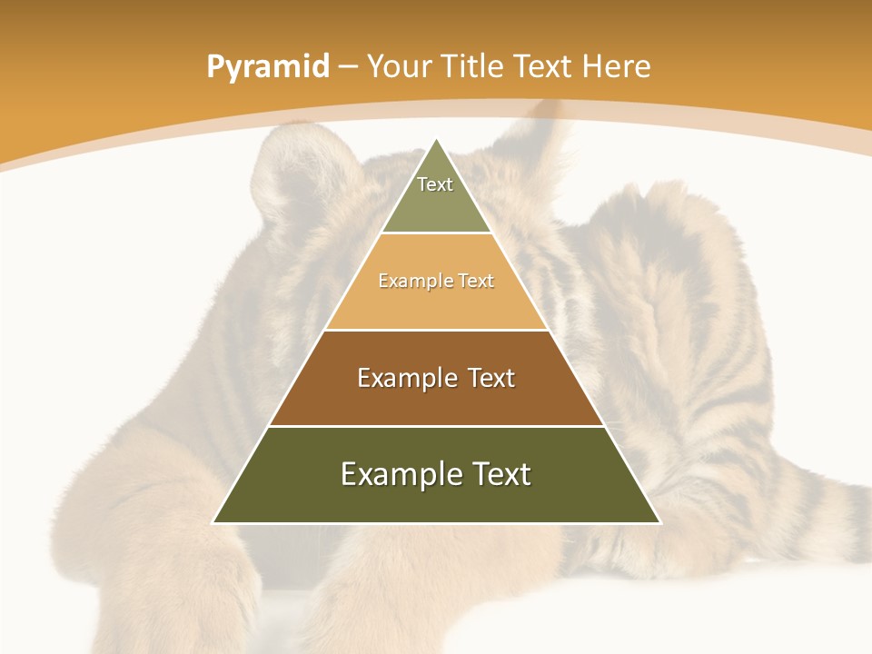 Sad Studio Asleep PowerPoint Template