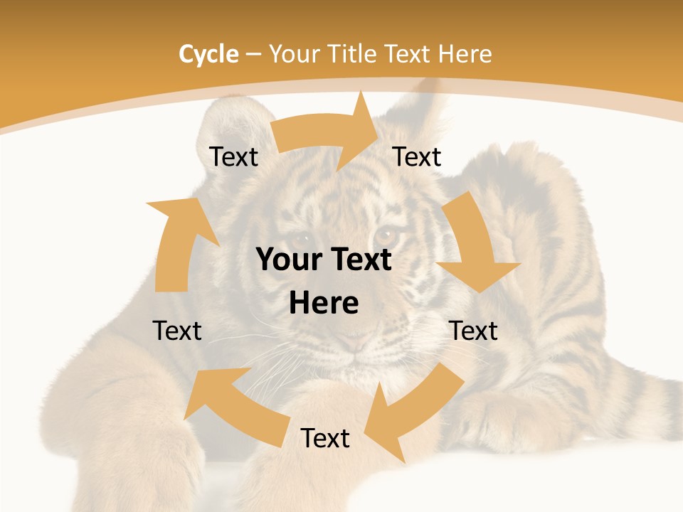 Sad Studio Asleep PowerPoint Template