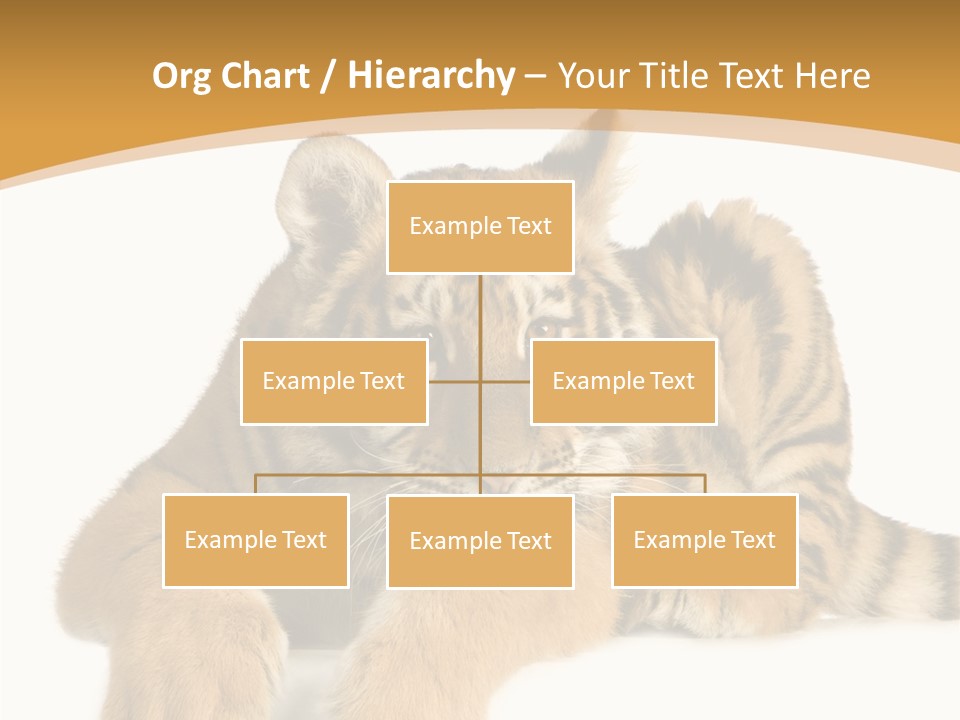 Sad Studio Asleep PowerPoint Template