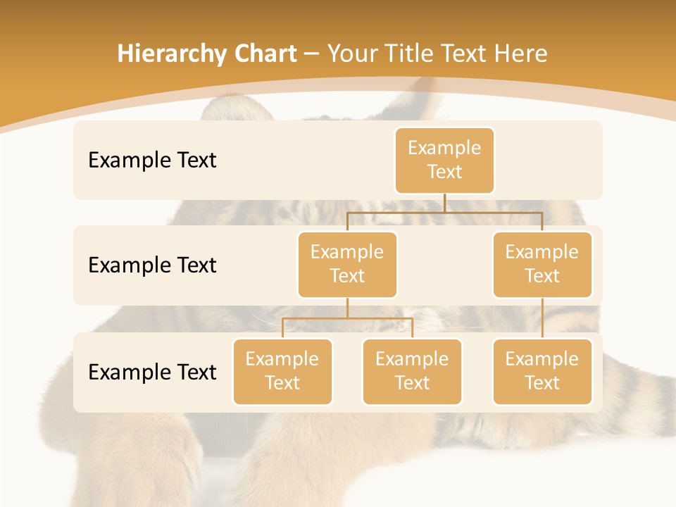 Sad Studio Asleep PowerPoint Template