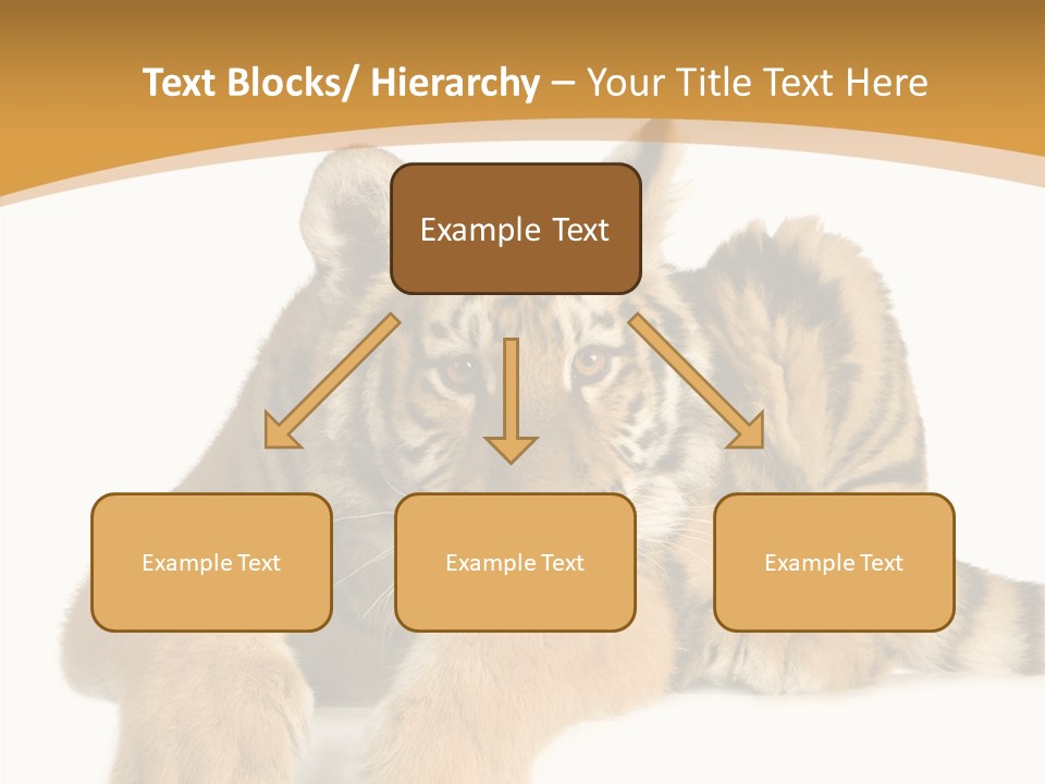 Sad Studio Asleep PowerPoint Template