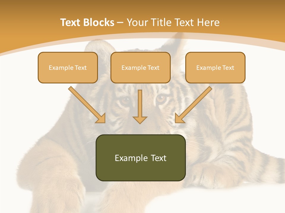 Sad Studio Asleep PowerPoint Template