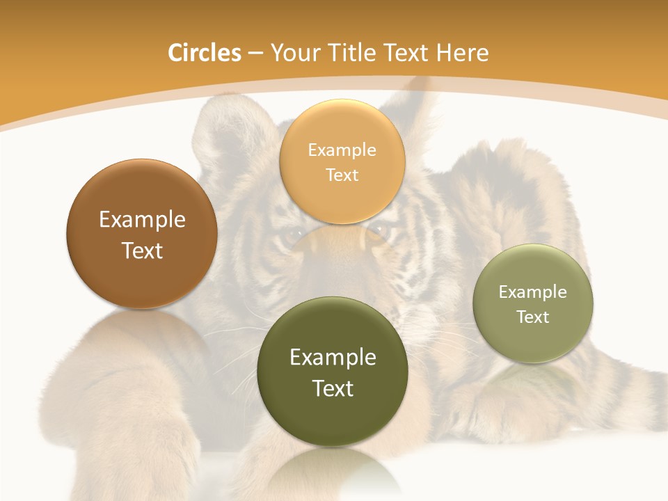 Sad Studio Asleep PowerPoint Template