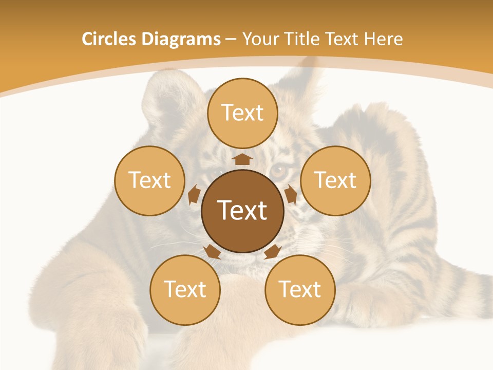 Sad Studio Asleep PowerPoint Template