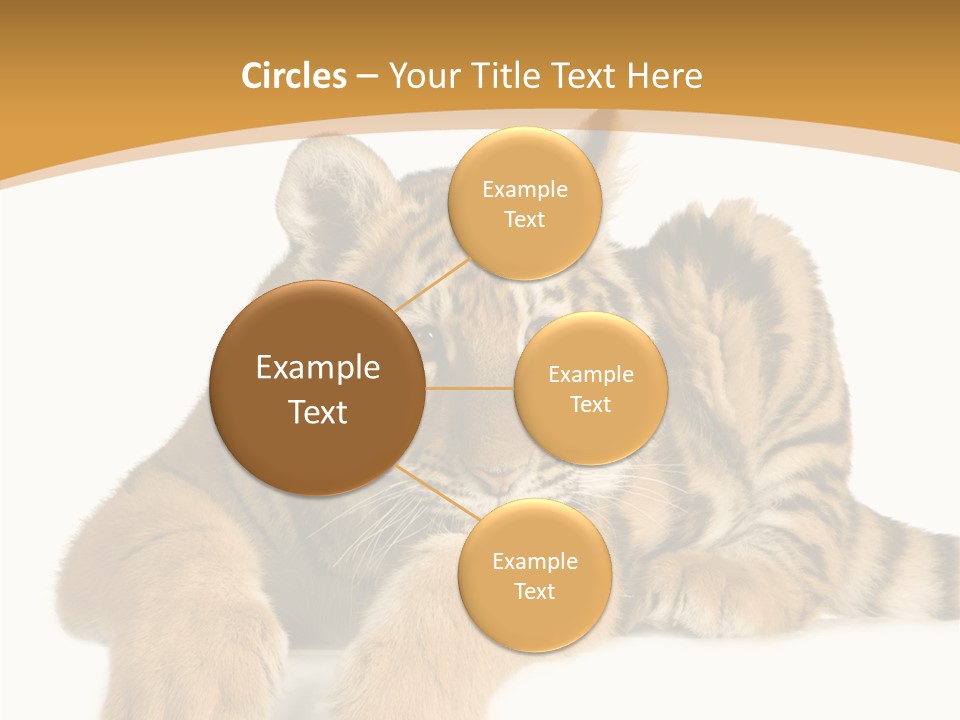 Sad Studio Asleep PowerPoint Template