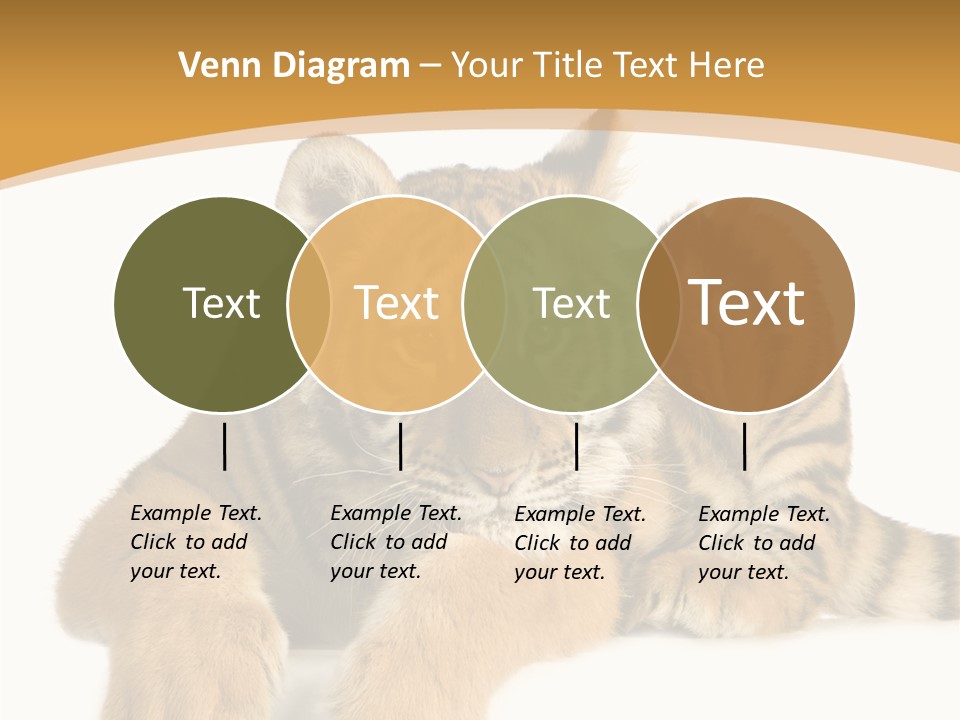 Sad Studio Asleep PowerPoint Template