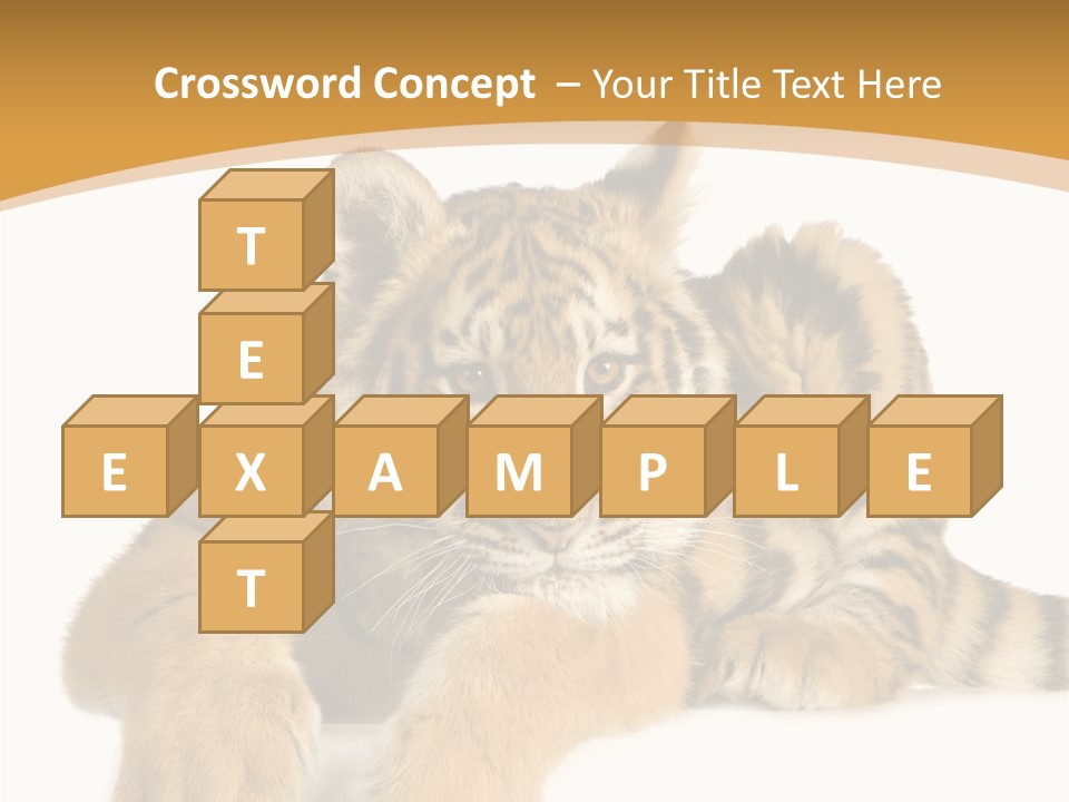 Sad Studio Asleep PowerPoint Template