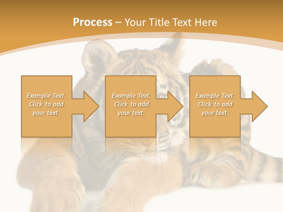 Sad Studio Asleep PowerPoint Template