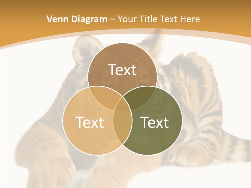 Sad Studio Asleep PowerPoint Template