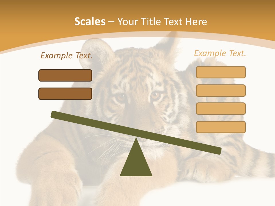 Sad Studio Asleep PowerPoint Template