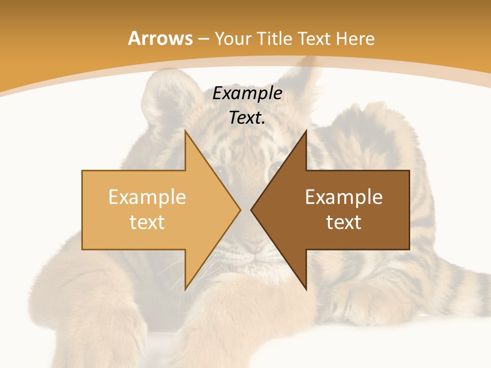 Sad Studio Asleep PowerPoint Template