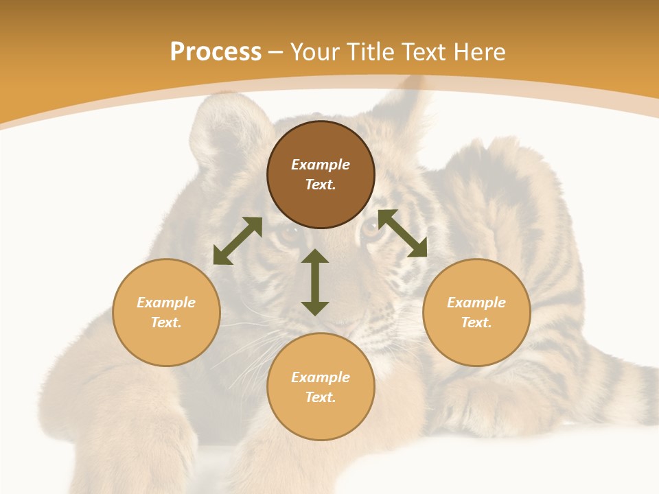 Sad Studio Asleep PowerPoint Template