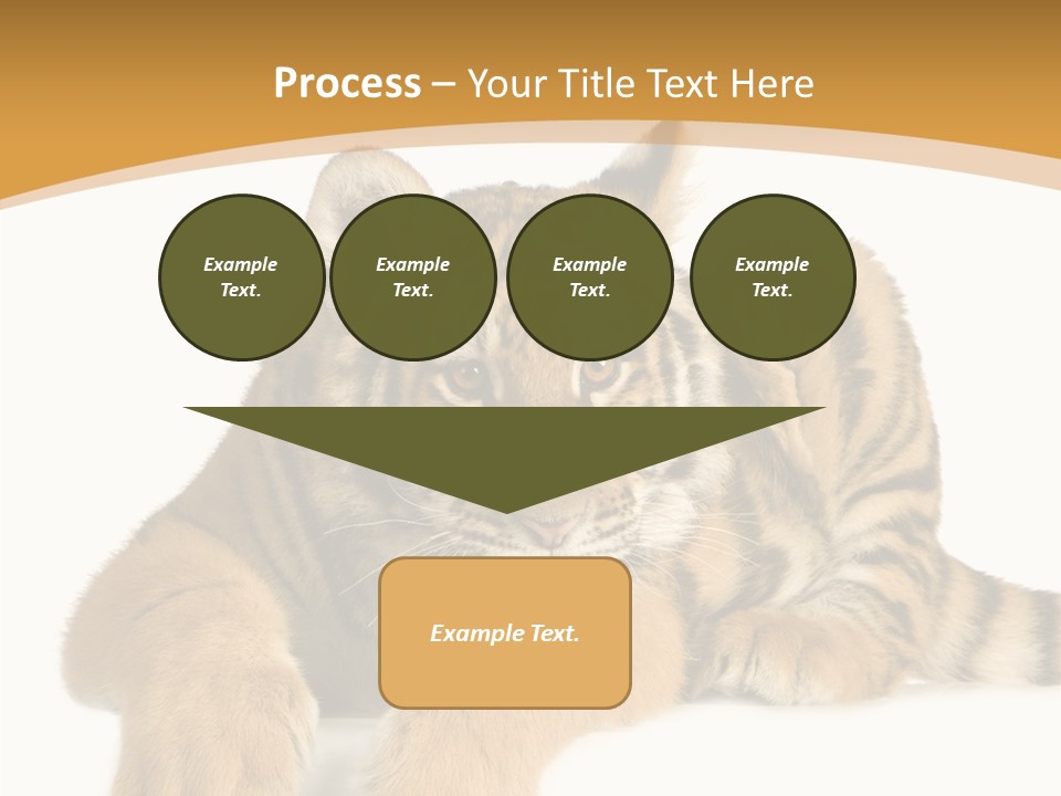 Sad Studio Asleep PowerPoint Template