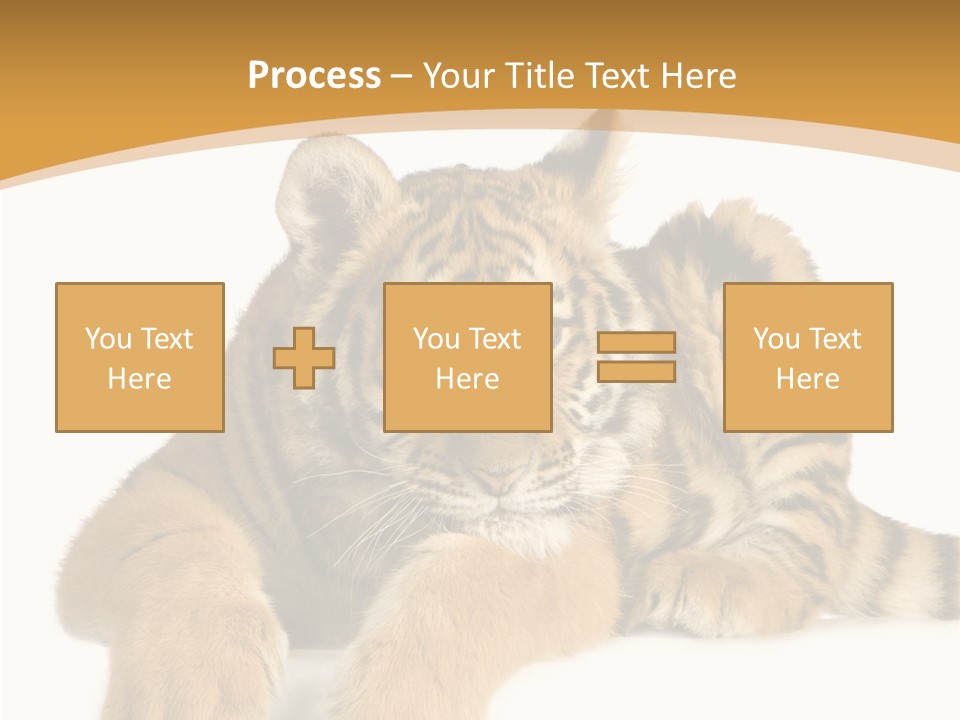 Sad Studio Asleep PowerPoint Template