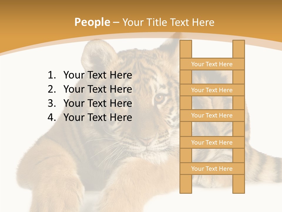 Sad Studio Asleep PowerPoint Template