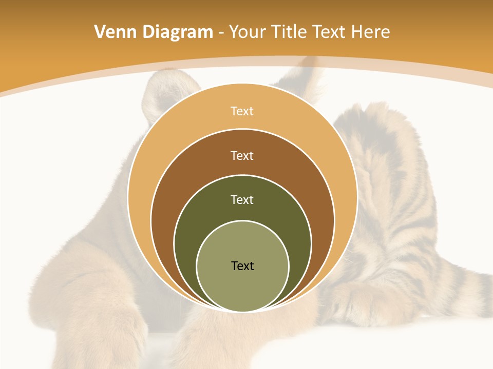 Sad Studio Asleep PowerPoint Template