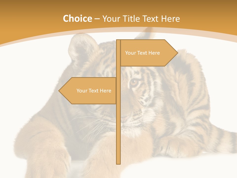 Sad Studio Asleep PowerPoint Template