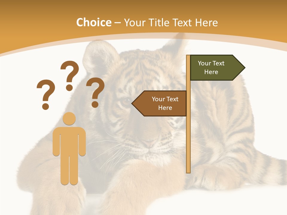 Sad Studio Asleep PowerPoint Template