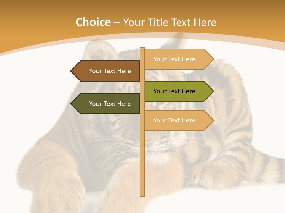 Sad Studio Asleep PowerPoint Template